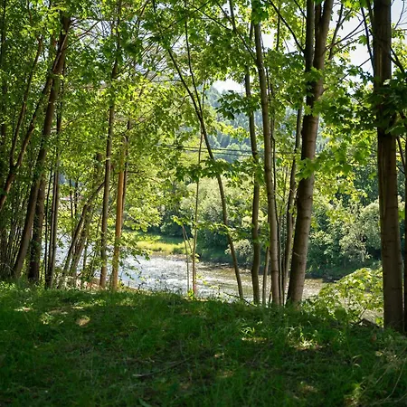 Homestay Pieninska Roza