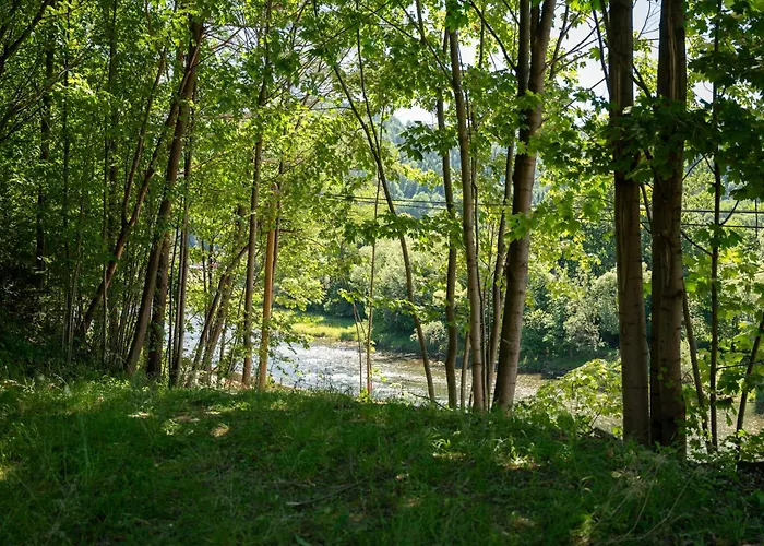 בית אירוח Pieninska Roza